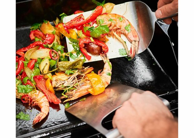 Rösle Barbecue BBQ Accessoire Plancha Grillplaat