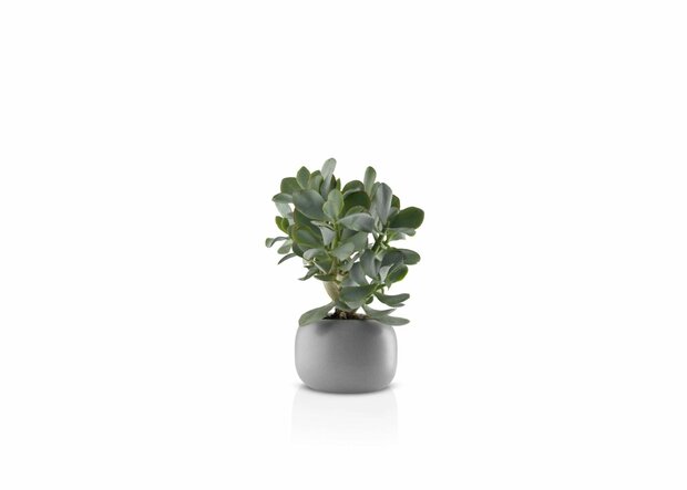 Eva Solo Bloempot 16 cm