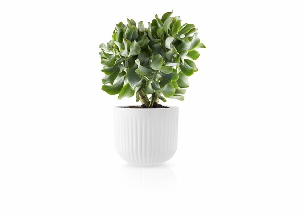 Eva Trio Legio Nova Bloempot Groot