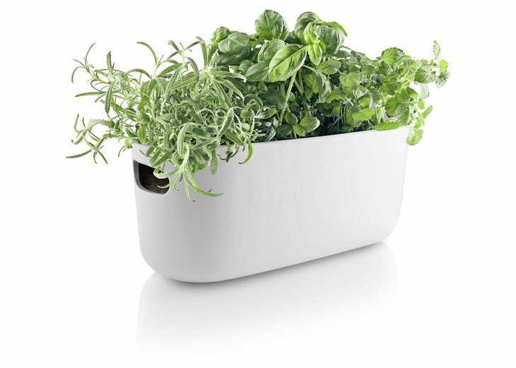 Eva Solo Bloempot met Bewateringssysteem