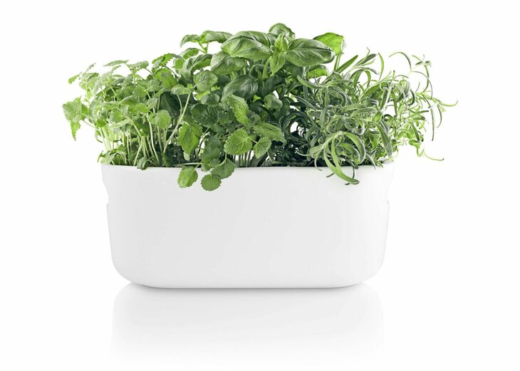 Eva Solo Bloempot met Bewateringssysteem