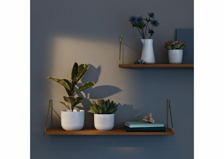 Eva Trio Legio Nova Bloempot Klein