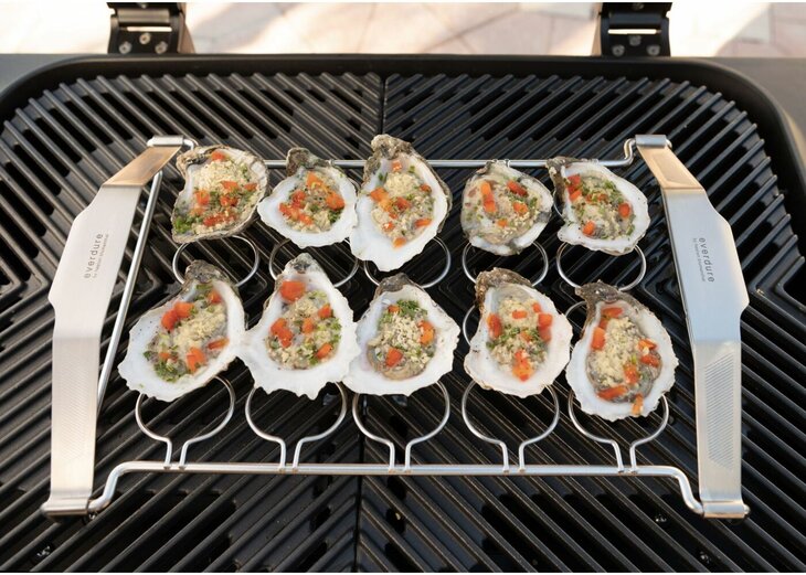 Everdure Quantum Oester Rek