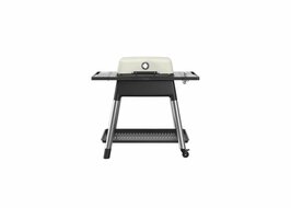 Force Gas Barbecue