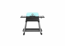 Force Gas Barbecue